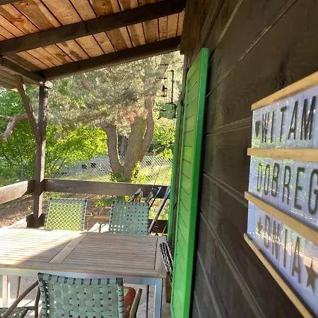 Holiday home Dom Pod Sosnami Rzewnie